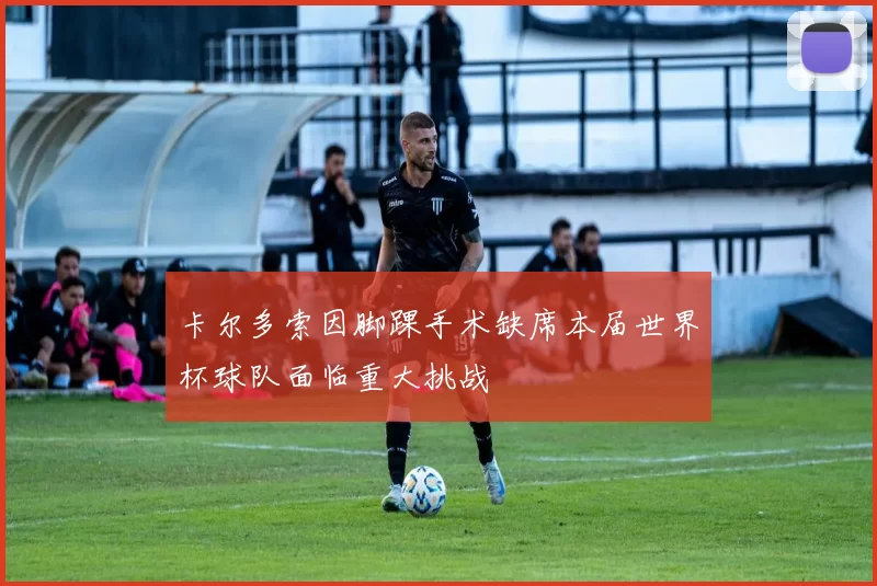 卡尔多索因脚踝手术缺席本届世界杯球队面临重大挑战