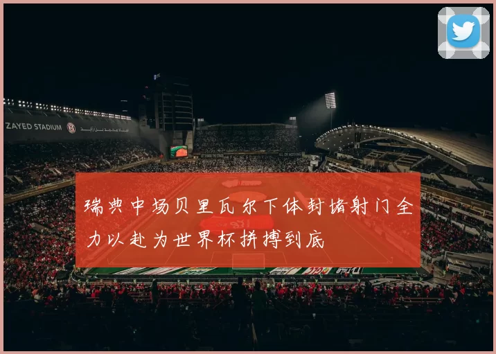 瑞典中场贝里瓦尔下体封堵射门全力以赴为世界杯拼搏到底